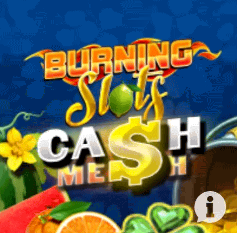 play Burning Slots in Winnita Casino